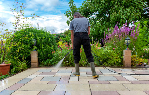 Paloma Creek, TX Pressure Washing Services Company